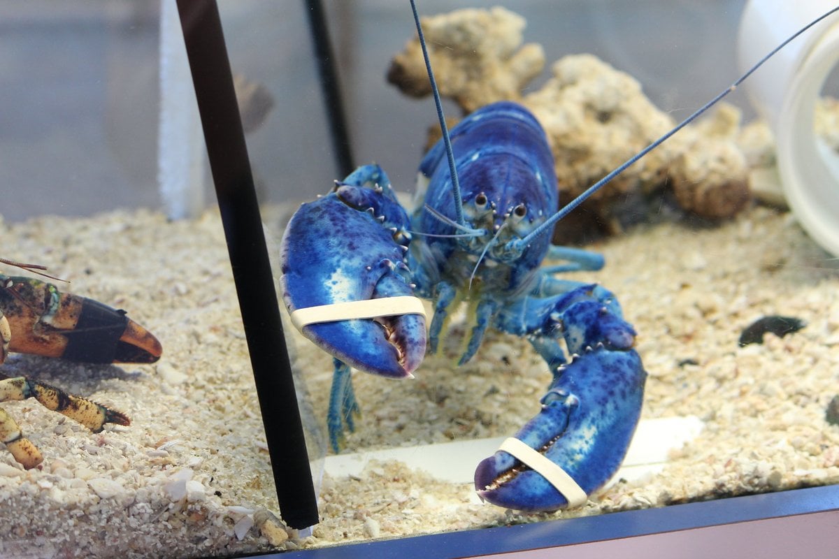 Maritime Aquarium at Norwalk - Gallery Image 3